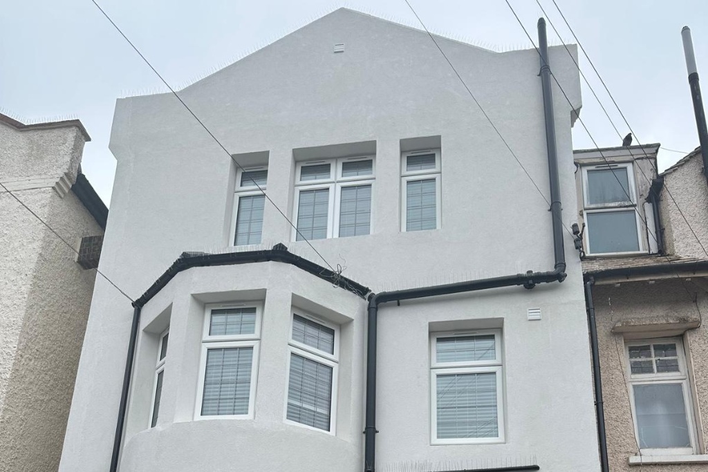 Untitled design - 2025-06-24T024101.292